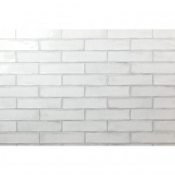 Costa Allegra Steel 3x12 (Rectangle) Polished 